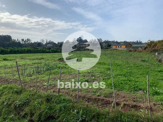 FINCA EDIFICABLE