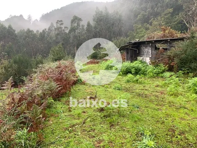 FINCA EDIFICABLE