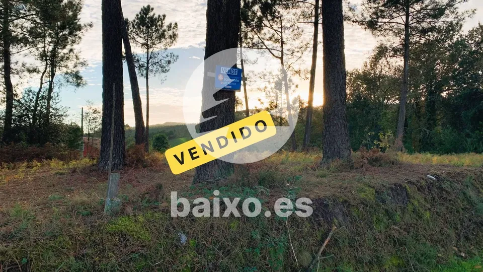 FINCA EDIFICABLE